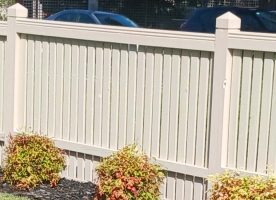 Fence Painting