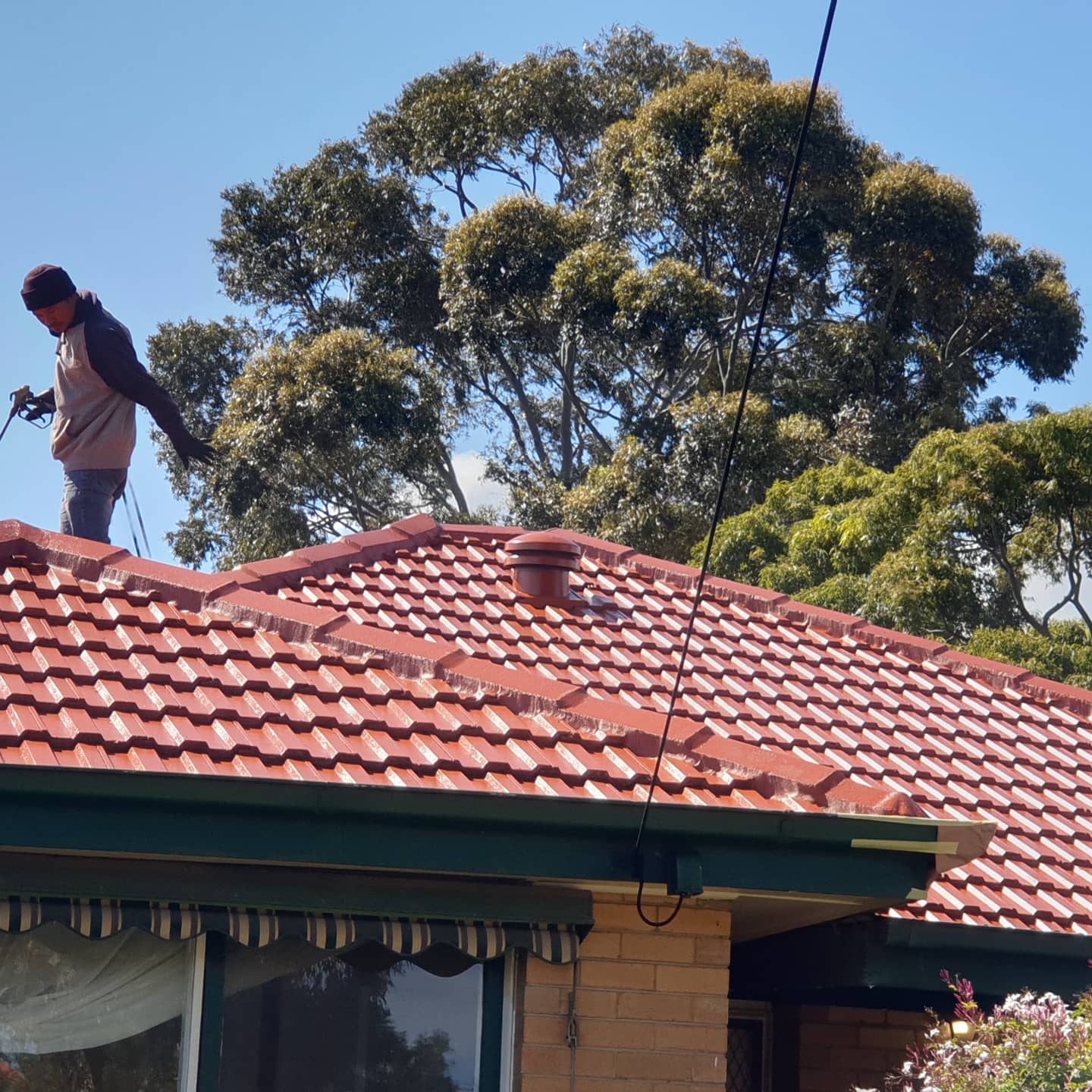 Roof Painting Services