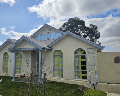 Professional Painters Before