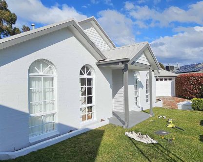 Professional Painters After